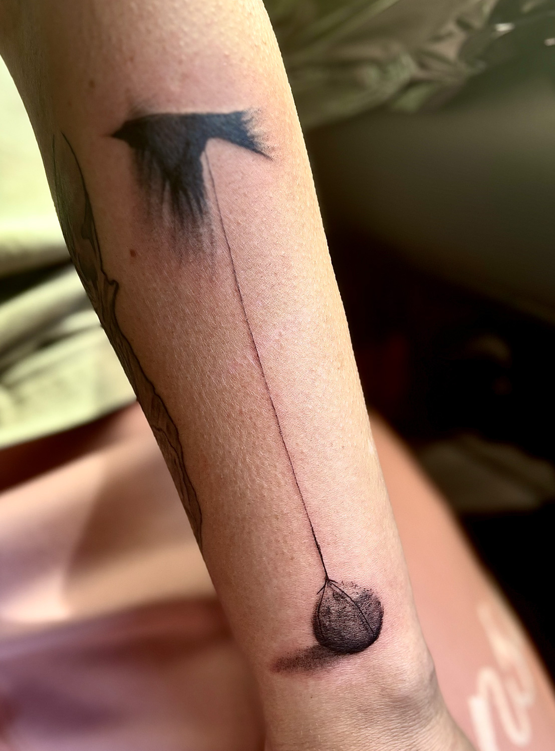 Bird with stone on arm