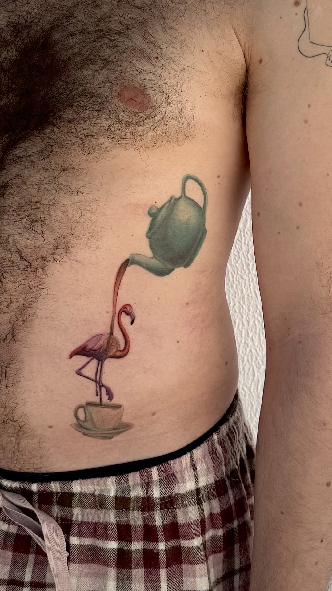 Color flamingo and teapot on ribs