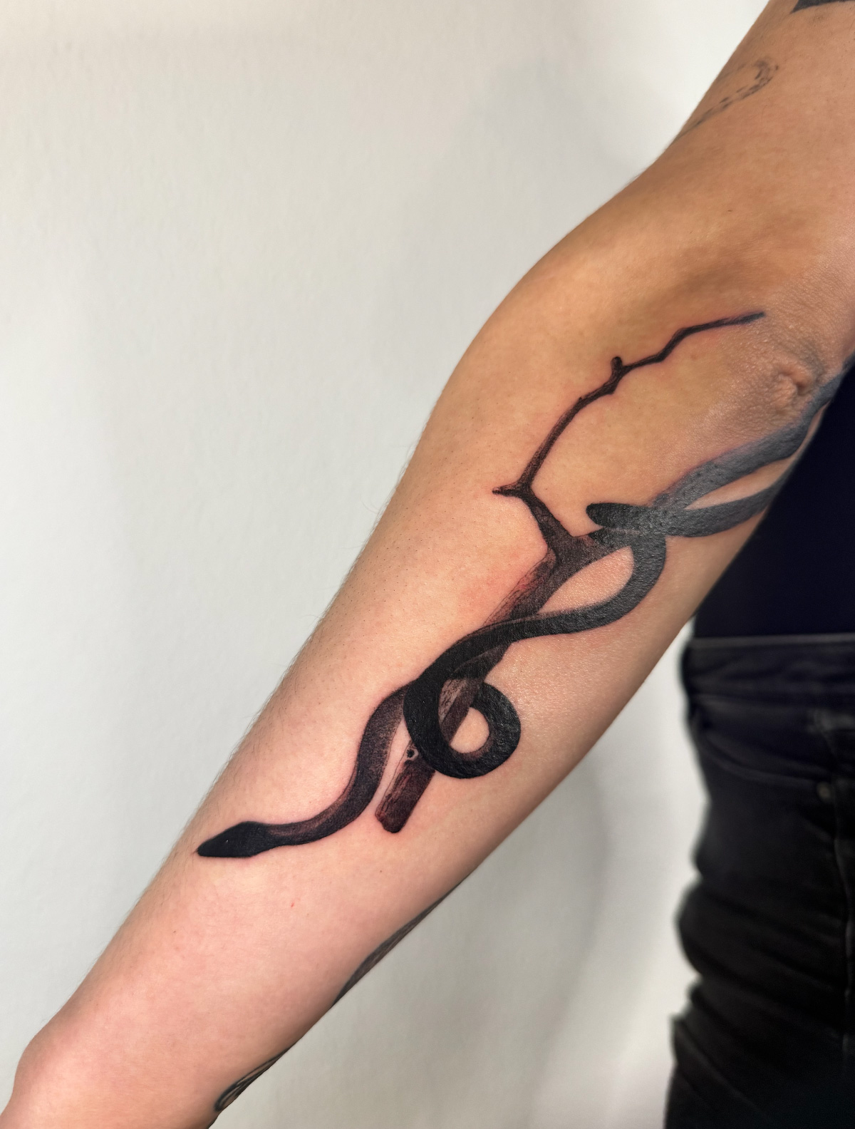 Snake coiled on branch forearm