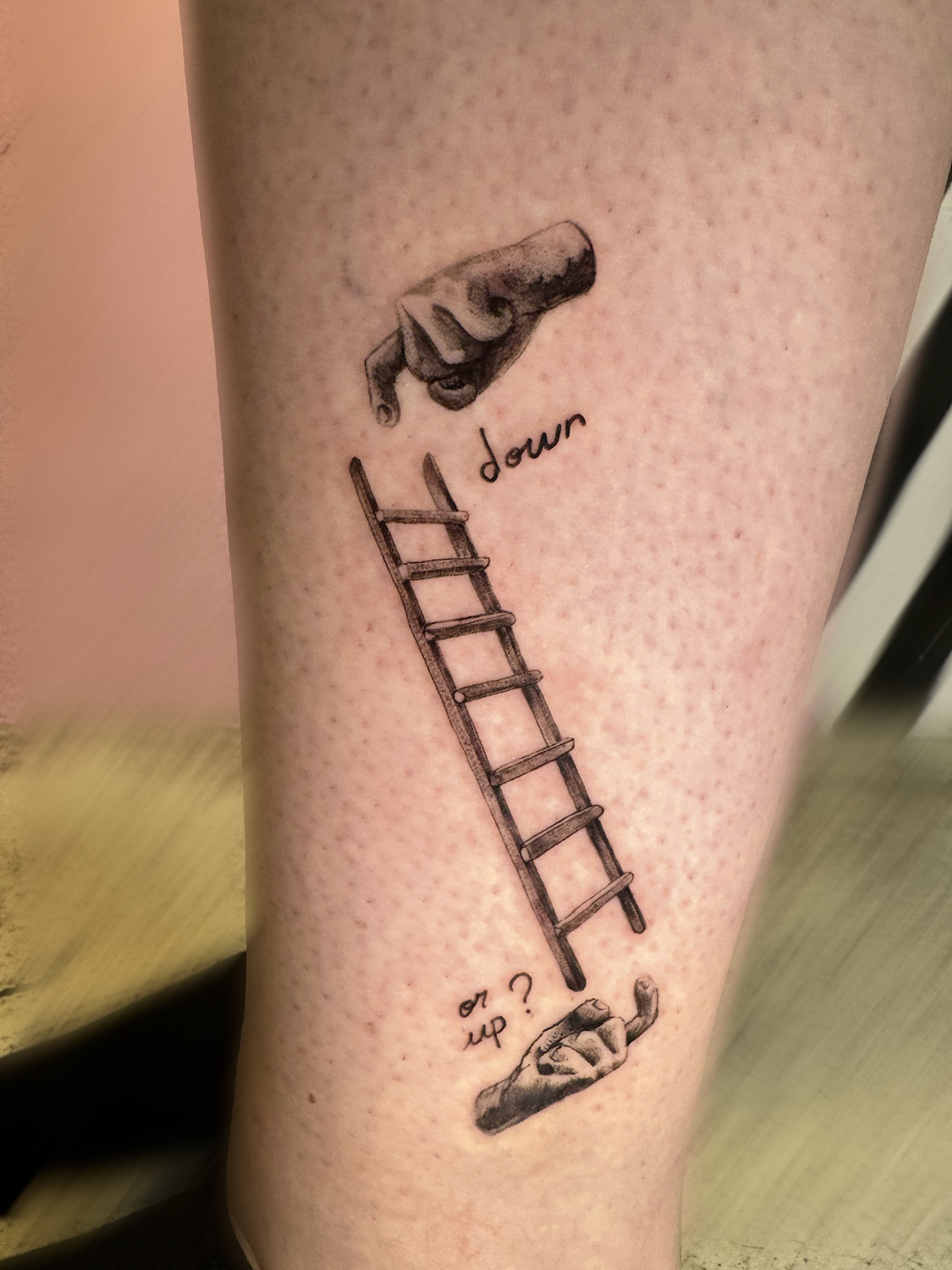 Up or down ladder with hands