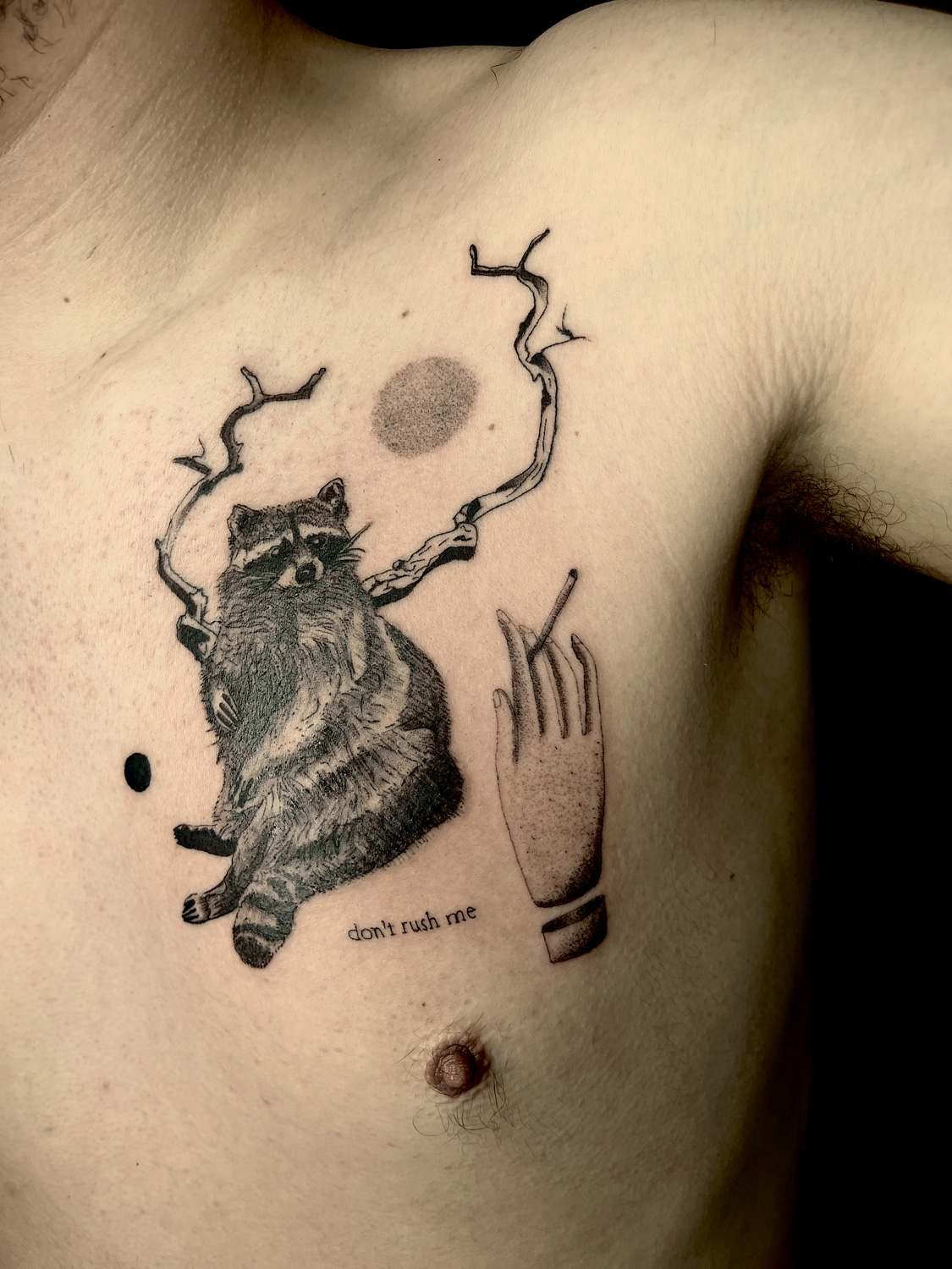 Raccoon with cigarette chest piece