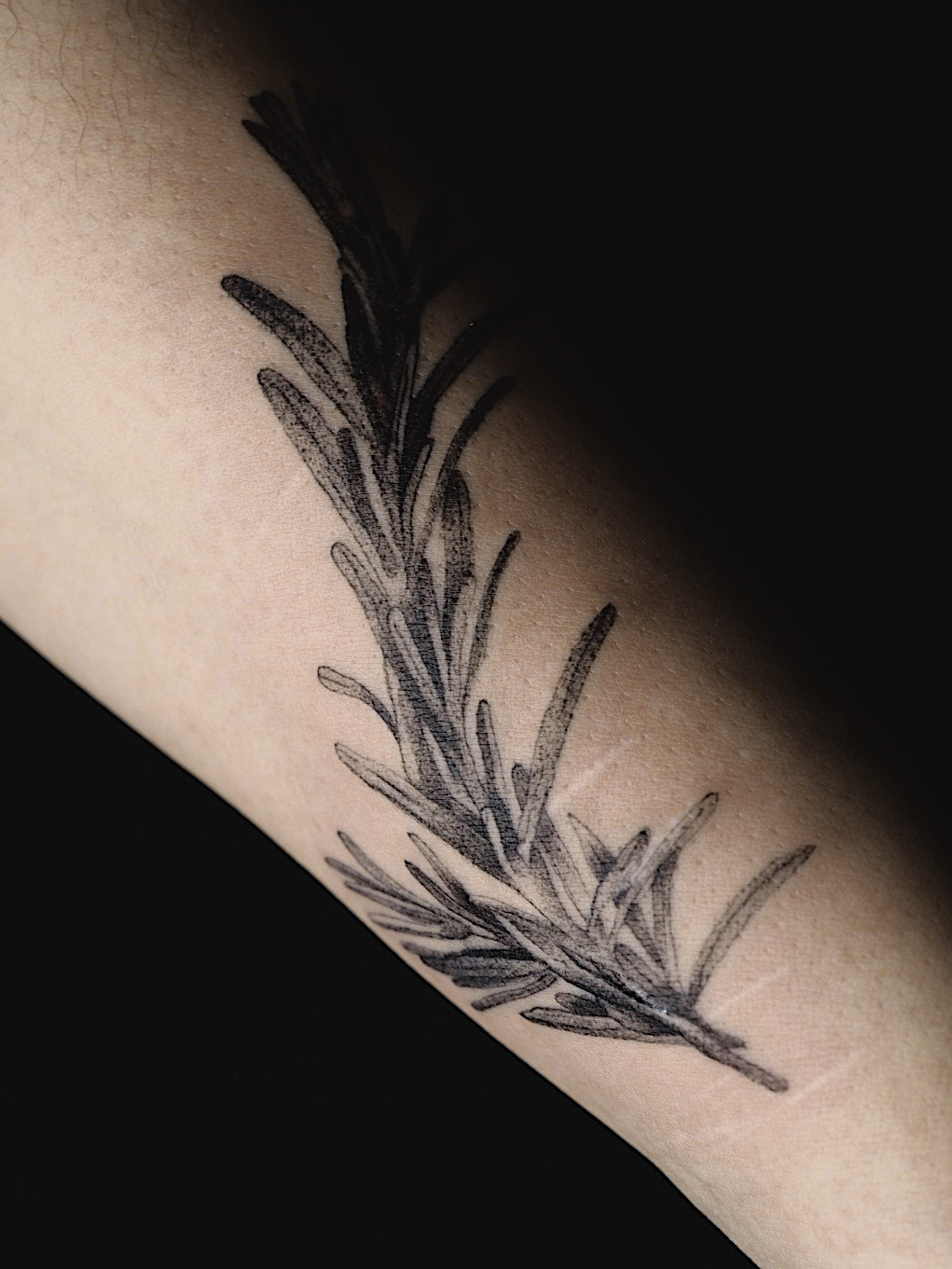 Rosemary sprig on forearm