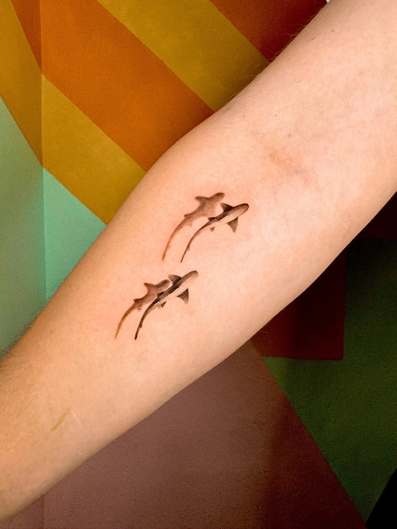 Two small sharks on forearm