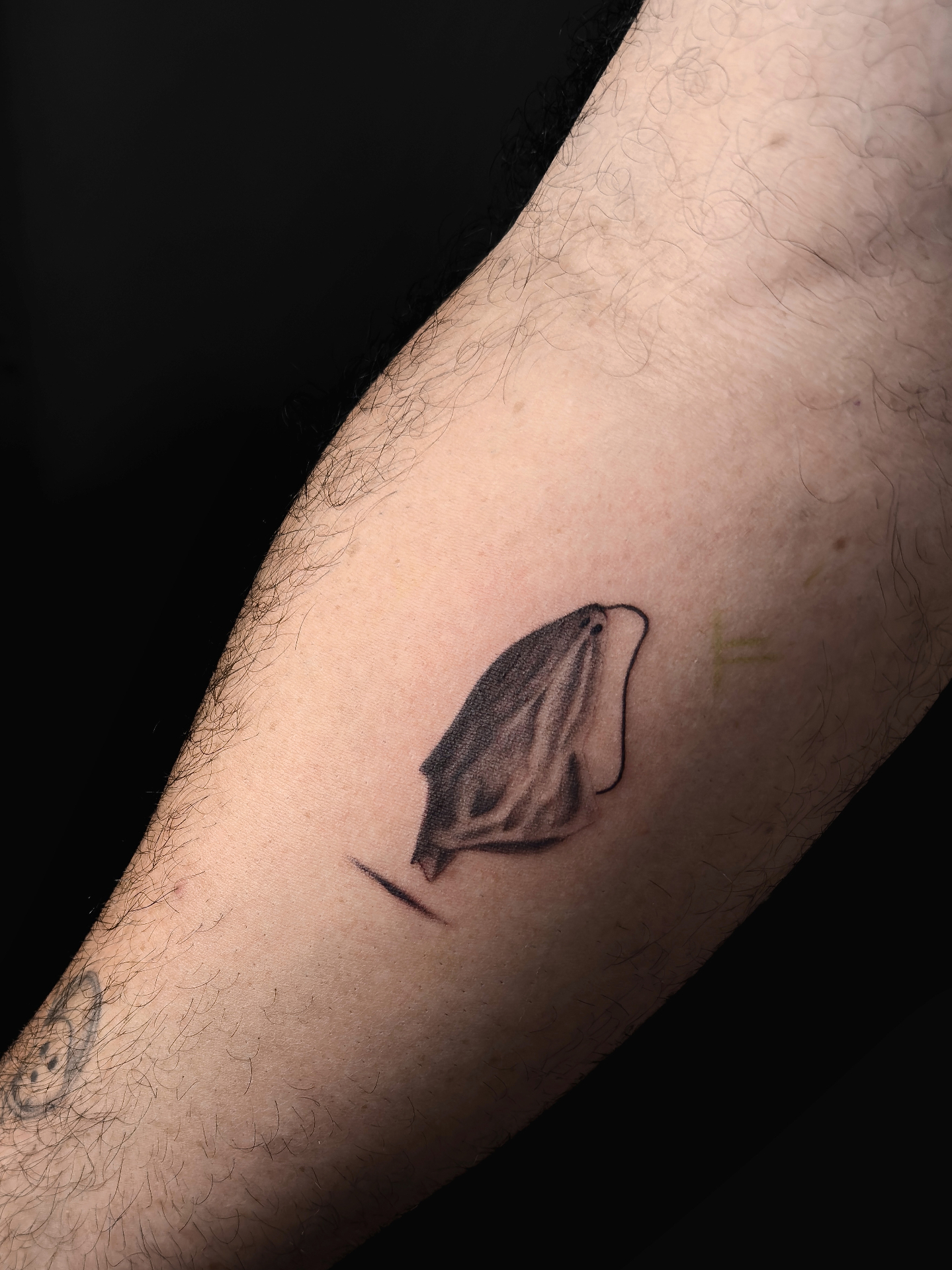 Little ghost variation on arm